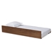 Baxton Studio Midori Modern and Contemporary Transitional Walnut Brown Finished Wood Twin Size Trundle Bed