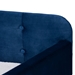Baxton Studio Jona Modern and Contemporary Transitional Navy Blue Velvet Fabric Upholstered and Button Tufted Twin Size Daybed with Trundle - CF9183-Navy Blue-Daybed-T/T