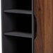 Baxton Studio Idina Mid-Century Modern Two-Tone Walnut Brown and Grey Finished Wood 1-Door Shoe Cabinet - SESC16104-Columbia-Shoe Cabinet