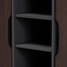 Baxton Studio Idina Mid-Century Modern Two-Tone Dark Brown and Grey Finished Wood 2-Door Shoe Cabinet - SESC16105-Modi Wenge-Shoe Cabinet