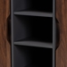 Baxton Studio Idina Mid-Century Modern Two-Tone Walnut Brown and Grey Finished Wood 2-Door Shoe Cabinet - SESC16105-Columbia-Shoe Cabinet