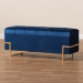 Baxton Studio Parker Glam and Luxe Navy Blue Velvet Upholstered and Gold Metal Finished Storage Ottoman - JY20A122L-Navy Blue/Gold-Storage Otto