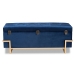 Baxton Studio Parker Glam and Luxe Navy Blue Velvet Upholstered and Gold Metal Finished Storage Ottoman - JY20A122L-Navy Blue/Gold-Storage Otto