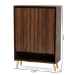 Baxton Studio Landen Mid-Century Modern Walnut Brown and Gold Finished Wood 2-Door Entryway Shoe storage Cabinet - LV10SC10151WI-Columbia/Gold-Shoe Cabinet