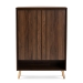 Baxton Studio Landen Mid-Century Modern Walnut Brown and Gold Finished Wood 2-Door Entryway Shoe storage Cabinet - LV10SC10151WI-Columbia/Gold-Shoe Cabinet