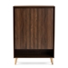 Baxton Studio Landen Mid-Century Modern Walnut Brown and Gold Finished Wood 2-Door Entryway Shoe storage Cabinet - LV10SC10151WI-Columbia/Gold-Shoe Cabinet
