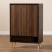 Baxton Studio Landen Mid-Century Modern Walnut Brown and Gold Finished Wood 2-Door Entryway Shoe storage Cabinet - LV10SC10151WI-Columbia/Gold-Shoe Cabinet