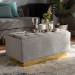 Baxton Studio Powell Glam and Luxe Grey Velvet Fabric Upholstered and Gold PU Leather Storage Ottoman - WS-2019-Grey Velvet/Gold-Otto