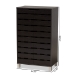 Baxton Studio Ernest Modern and Contemporary Dark Brown Finished Wood 2-Door Shoe Storage Cabinet - FP-11027-Espresso-Shoe Cabinet