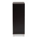 Baxton Studio Ernest Modern and Contemporary Dark Brown Finished Wood 2-Door Shoe Storage Cabinet - FP-11027-Espresso-Shoe Cabinet