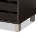 Baxton Studio Ernest Modern and Contemporary Dark Brown Finished Wood 2-Door Shoe Storage Cabinet - FP-11027-Espresso-Shoe Cabinet