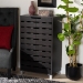 Baxton Studio Ernest Modern and Contemporary Dark Brown Finished Wood 2-Door Shoe Storage Cabinet - FP-11027-Espresso-Shoe Cabinet