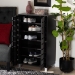 Baxton Studio Ernest Modern and Contemporary Dark Brown Finished Wood 2-Door Shoe Storage Cabinet - FP-11027-Espresso-Shoe Cabinet