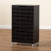 Baxton Studio Ernest Modern and Contemporary Dark Brown Finished Wood 2-Door Shoe Storage Cabinet - FP-11027-Espresso-Shoe Cabinet