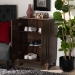 Baxton Studio Nissa Modern and Contemporary Walnut Brown Finished Wood 2-Door Shoe Storage Cabinet - MPC8017-Walnut-Shoe Cabinet