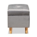Baxton Studio Elias Modern and Contemporary Grey Velvet Fabric Upholstered and Oak Brown Finished Wood Storage Ottoman - JY20A250-Grey Velvet-Otto
