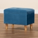 Baxton Studio Elias Modern and Contemporary Sky Blue Velvet Fabric Upholstered and Oak Brown Finished Wood Storage Ottoman - JY20A250-Sky Blue Velvet-Otto