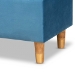 Baxton Studio Elias Modern and Contemporary Sky Blue Velvet Fabric Upholstered and Oak Brown Finished Wood Storage Ottoman - JY20A250-Sky Blue Velvet-Otto