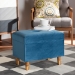 Baxton Studio Elias Modern and Contemporary Sky Blue Velvet Fabric Upholstered and Oak Brown Finished Wood Storage Ottoman - JY20A250-Sky Blue Velvet-Otto