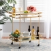 Baxton Studio Destin Modern and Contemporary Glam Brushed Gold Finished Metal and Mirrored Glass 2-Tier Mobile Wine Bar Cart - JY20A263-Gold-Cart