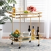 Baxton Studio Destin Modern and Contemporary Glam Brushed Gold Finished Metal and Mirrored Glass 2-Tier Mobile Wine Bar Cart - JY20A263-Gold-Cart