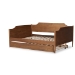 Baxton Studio Alya Classic Traditional Farmhouse Walnut Brown Finished Wood Full Size Daybed with Roll-Out Trundle Bed - MG0016-1-Walnut-Daybed-F/T