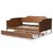Baxton Studio Alya Classic Traditional Farmhouse Walnut Brown Finished Wood Full Size Daybed with Roll-Out Trundle Bed - MG0016-1-Walnut-Daybed-F/T