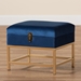Baxton Studio Aliana Glam and Luxe Navy Blue Velvet Fabric Upholstered and Gold Finished Metal Small Storage Ottoman - JY19B-051S-Navy Blue Velvet/Gold-Otto