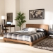Baxton Studio Haines Modern and Contemporary Walnut Brown Finished Wood Full Size Platform Bed - MG-0050-Ash Walnut-Full