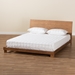 Baxton Studio Haines Modern and Contemporary Walnut Brown Finished Wood Full Size Platform Bed - MG-0050-Ash Walnut-Full