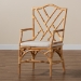 bali & pari Delta Modern and Contemporary Natural Finished Rattan Dining Chair - Delta-Natural-DC