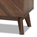 Baxton Studio Hartman Mid-Century Modern Walnut Brown Finished Wood Shoe Cabinet - LV23SC23150WI-Columbia-Shoe Cabinet