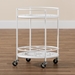 Baxton Studio Dallan Modern Industrial White Metal 2-Tier Kitchen Cart - H01-101134A-White-Cart