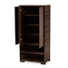 Baxton Studio Raina Modern and Contemporary Two-Tone Walnut Brown and Black Finished Wood 2-Door Shoe Storage Cabinet - SESC70140WI-Columbia/Black-Shoe Cabinet