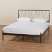 Baxton Studio Samir Modern Industrial Black Bronze Finished Metal Full Size Platform Bed - TS-Lidia-Black-Full