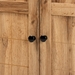 Baxton Studio Glidden Modern and Contemporary Oak Brown Finished Wood 2-Door Shoe Storage Cabinet - FP-1201-Wotan Oak