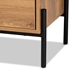 Baxton Studio Tasman Modern and Contemporary Industrial Natural Brown Finished Wood and Black Metal 2-Door TV Stand - HIF-002-Natural/Black