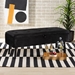 Baxton Studio Caine Modern and Contemporary Black Velvet Fabric Upholstered and Dark Brown Finished Wood Storage Bench - FZD020108-Black Velvet-Bench