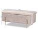 Baxton Studio Rockwell Contemporary Glam and Luxe Grey Velvet Fabric Upholstered and Gold Finished Metal Storage Bench - FZD0223-Grey Velvet-Bench