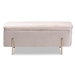Baxton Studio Rockwell Contemporary Glam and Luxe Grey Velvet Fabric Upholstered and Gold Finished Metal Storage Bench - FZD0223-Grey Velvet-Bench