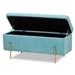 Baxton Studio Rockwell Contemporary Glam and Luxe Sky Blue Velvet Fabric Upholstered and Gold Finished Metal Storage Bench - FZD0223-Light Blue Velvet-Bench
