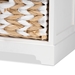 Baxton Studio Rianne Modern Transitional White Finished Wood 2-Basket Storage Unit - TLM1801-White-2 Baskets