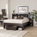 Baxton Studio Dexton Modern and Contemporary Dark Brown Finished Wood Queen Size Platform Storage Bed - SEBED13031026-Modi Wenge-Queen