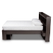 Baxton Studio Dexton Modern and Contemporary Dark Brown Finished Wood Queen Size Platform Storage Bed - SEBED13031026-Modi Wenge-Queen