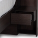Baxton Studio Dexton Modern and Contemporary Dark Brown Finished Wood Queen Size Platform Storage Bed - SEBED13031026-Modi Wenge-Queen