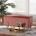 Baxton Studio Helaine Contemporary Glam and Luxe Blush Pink Fabric Upholstered and Gold Metal Bench Ottoman - FZD200124-Blush Pink-Bench