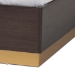 Baxton Studio Arcelia Contemporary Glam and Luxe Two-Tone Dark Brown and Gold Finished Wood Queen Size Platform Bed - SEBED13032026-Modi Wenge/Gold-Queen