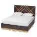 Baxton Studio Arcelia Contemporary Glam and Luxe Two-Tone Dark Brown and Gold Finished Wood Queen Size Platform Bed - SEBED13032026-Modi Wenge/Gold-Queen
