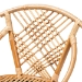 bali & pari Pro Modern Bohemian Natural Brown Rattan and Black Metal 2-Piece Dining Chair Set - Pro-Rattan/Black-DC