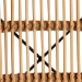 bali & pari Pro Modern Bohemian Natural Brown Rattan and Black Metal 2-Piece Dining Chair Set - Pro-Rattan/Black-DC